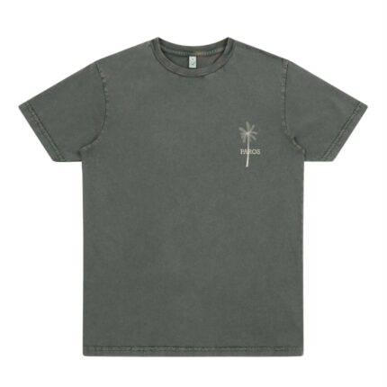 BIT OF SALT EP100 stonewashed t-shirt (green)