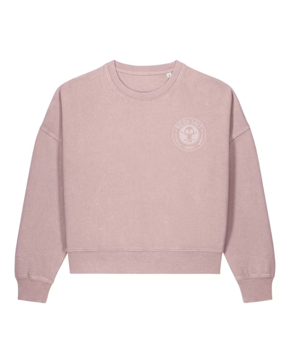 dyed blush BIT OF SALT Stella Alma Vintage Sweatshirt (dyed blush) - Image 1